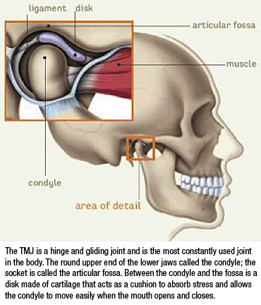 Graphic image of the Temporomandibular Joint and the muscle and ligaments around it